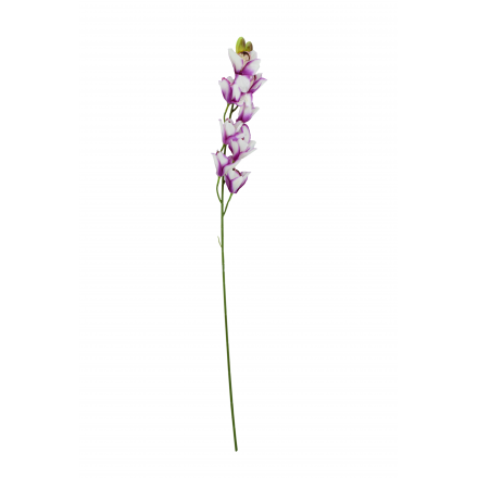 Vara de orquídea