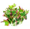 Ramo de hojas de hiedra bicolor