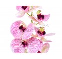 Vara orquídea silicona